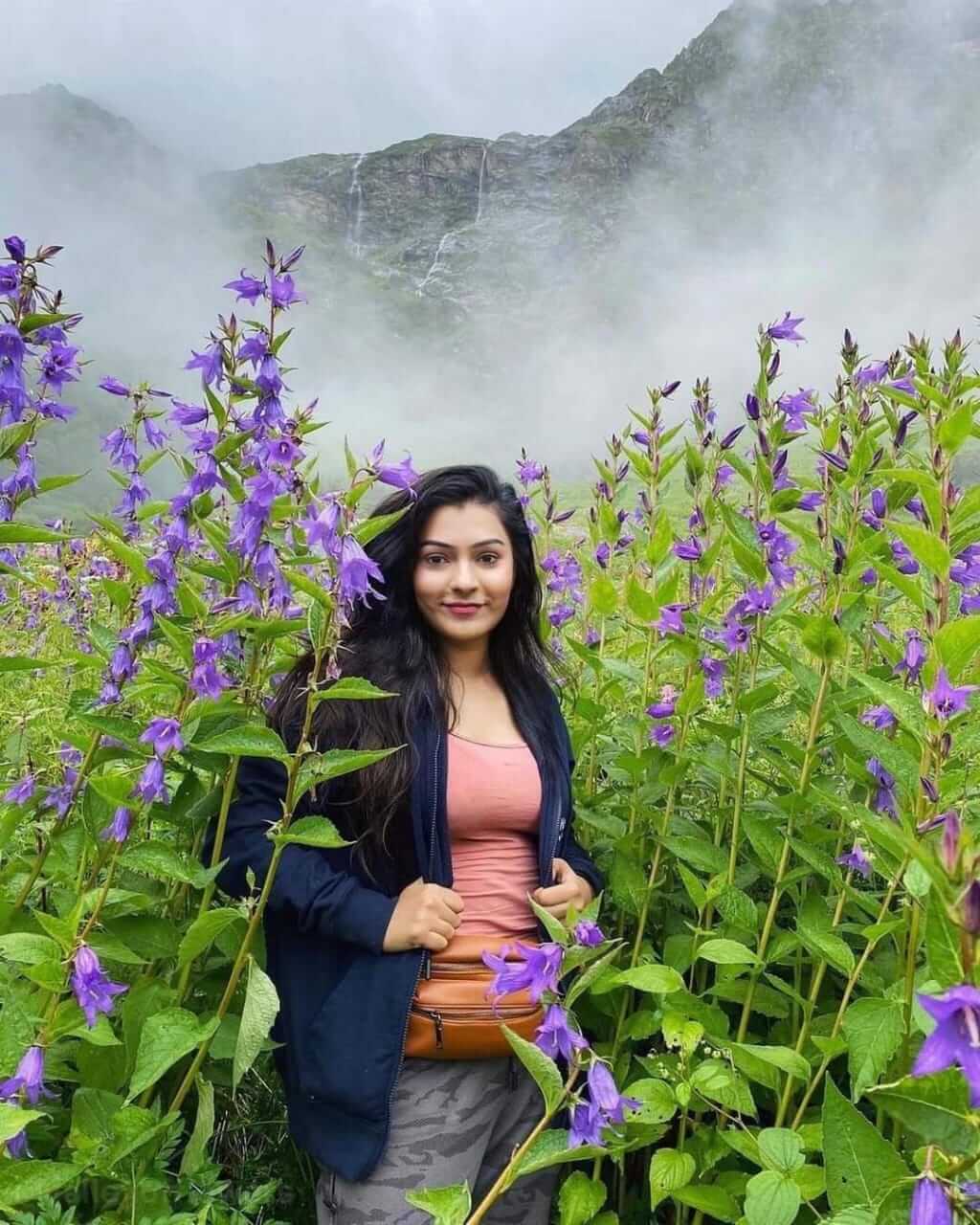 <span  class="uc_style_uc_tiles_grid_image_elementor_uc_items_attribute_title" style="color:#ffffff;">Valley of Flowers- dreamgohimalayas.in</span>