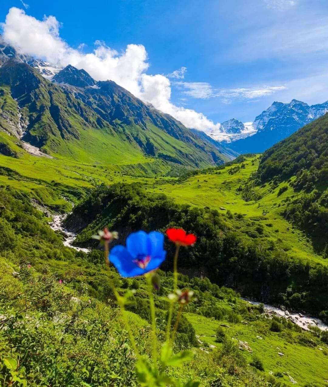 <span  class="uc_style_uc_tiles_grid_image_elementor_uc_items_attribute_title" style="color:#ffffff;">Valley of Flowers- dreamgohimalayas.in</span>