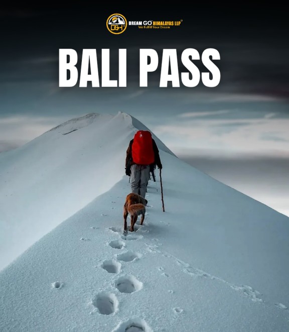 Bali Pass Trek Dream Go Himalayas (2)