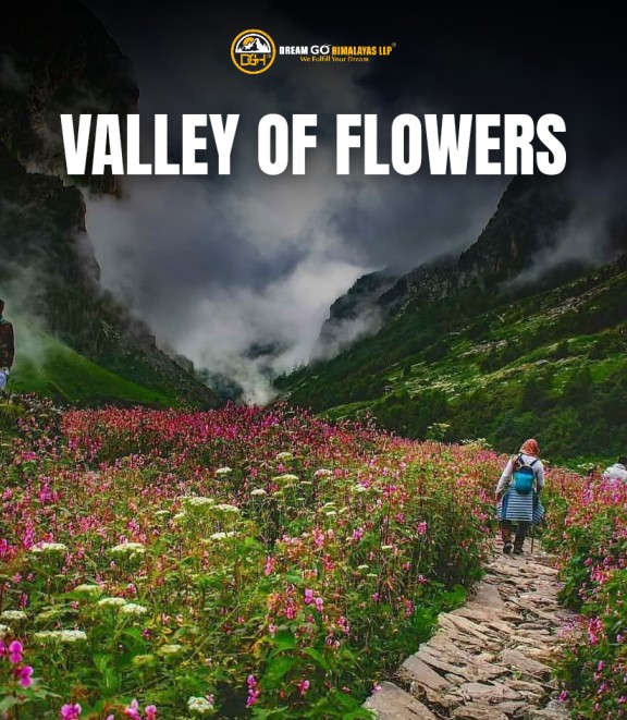 Vallye of Flowers Dream Go Himalayas