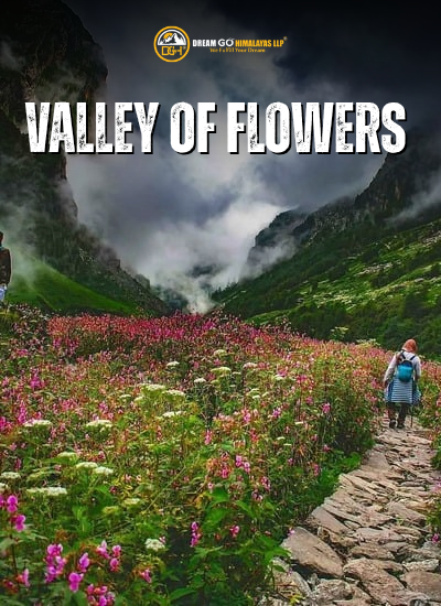 Valley of Flowers Trek