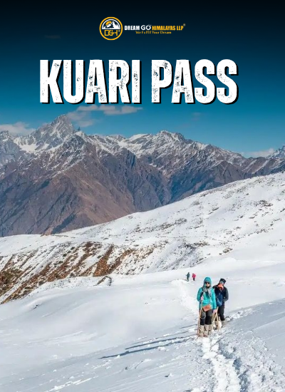 Kauri Pass Trek