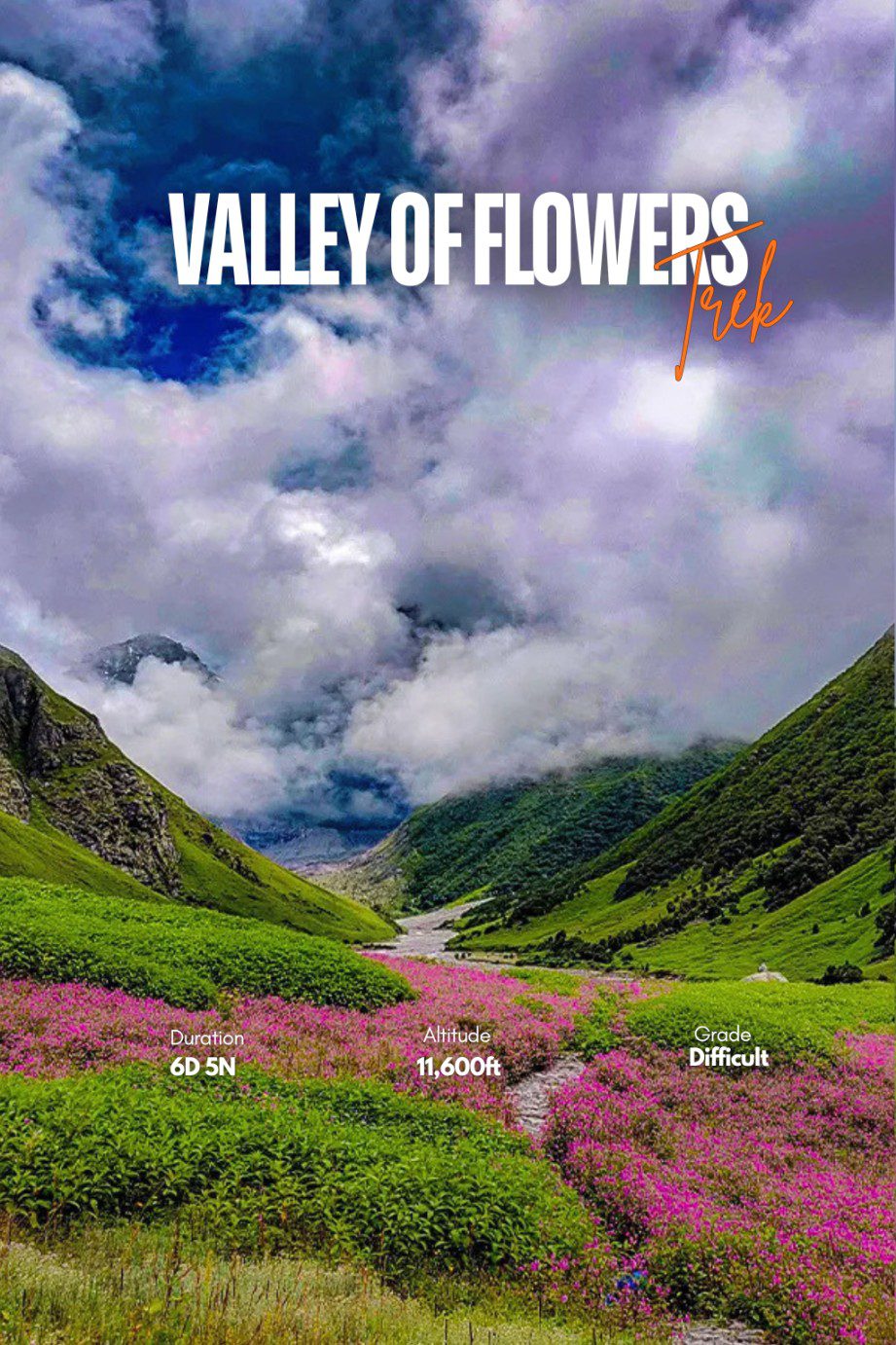 Valley of Flower