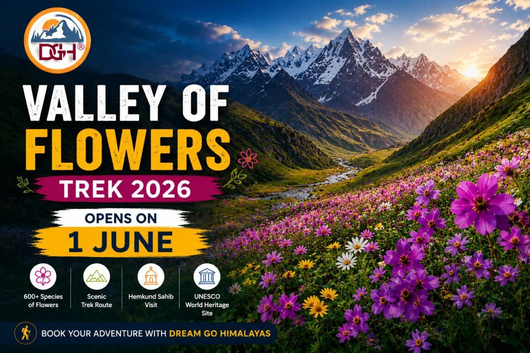 You are currently viewing Valley of Flowers Trek 2026 Opens on 1 June | Valley of Flowers Trek Package Starting ₹10,499