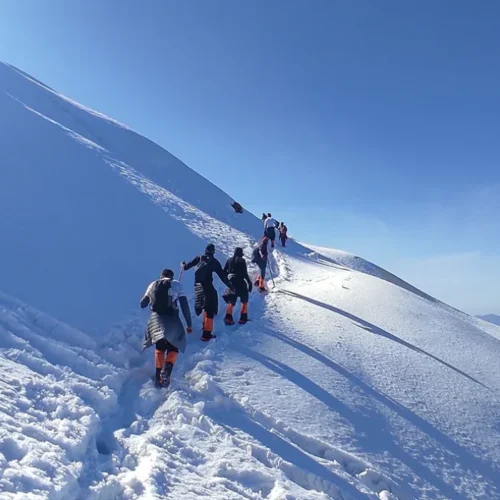 Chopta Chandrashila Trek 2026